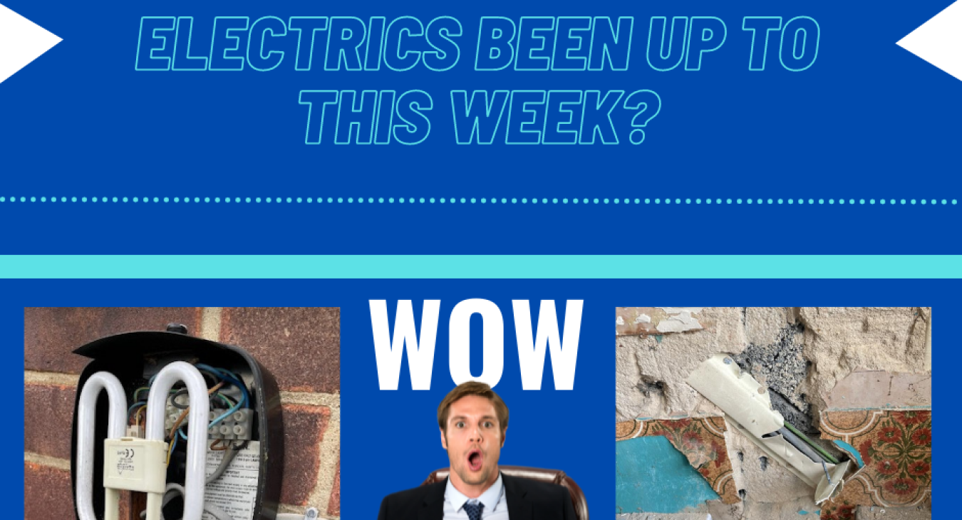 Two images of a man looking shocked, on the left is an image of a light fitting with moss, on the right is diagonal wiring, above is the text What has Hector's Electrics been up to this week?
