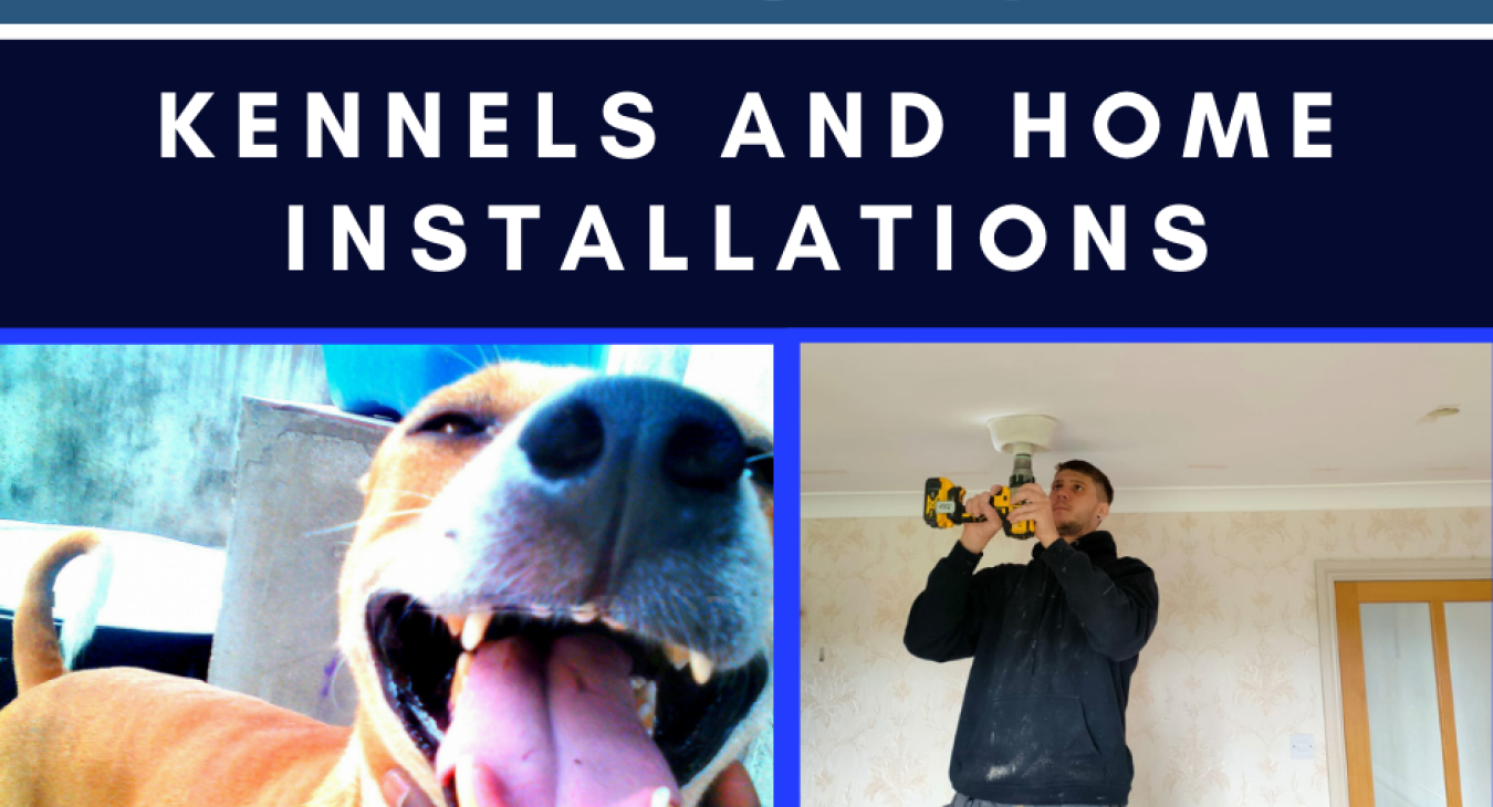 Hector's electrics Friday special, kennels and home installations with an image of Jordan doing the downlights, and then next to it is a cute dog