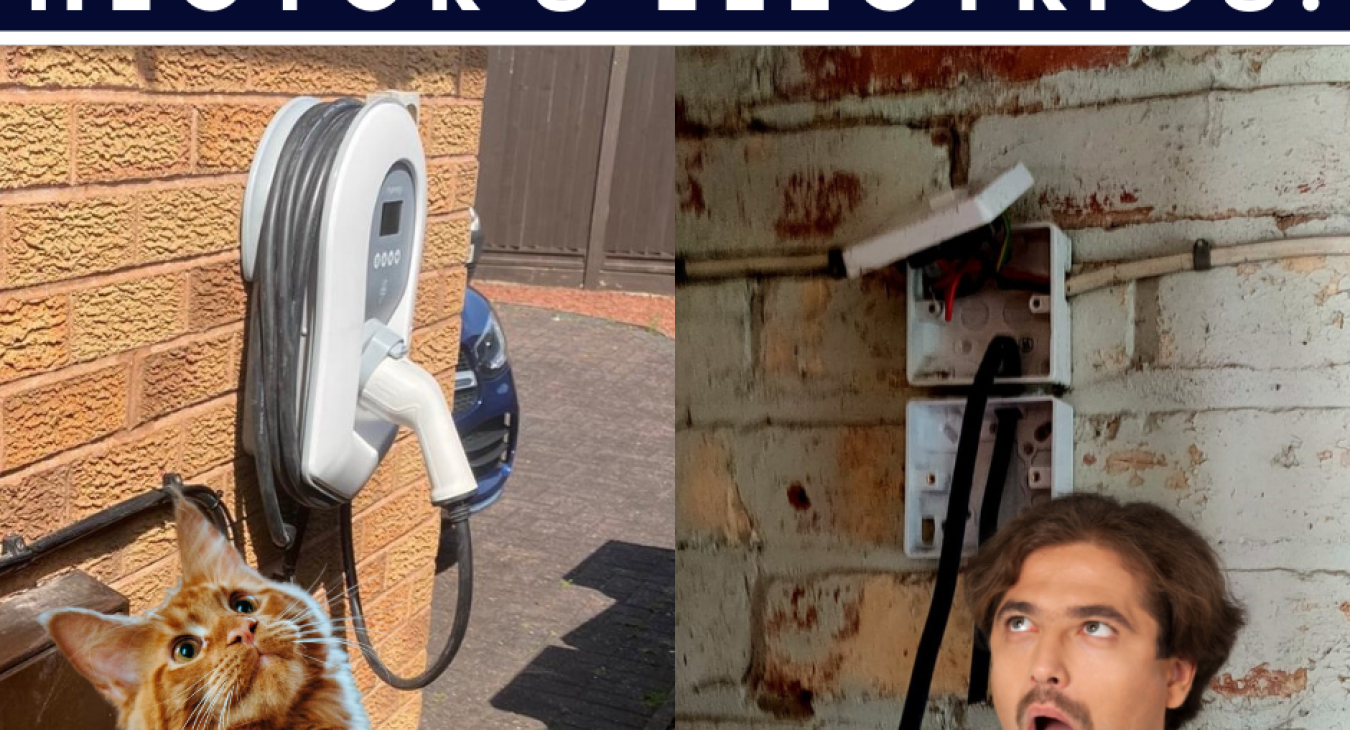 This week at Hectors Electrics, there is an image of the EV charger and a additional plug installation, long with a curious cat and a  man looking at the images in surprise